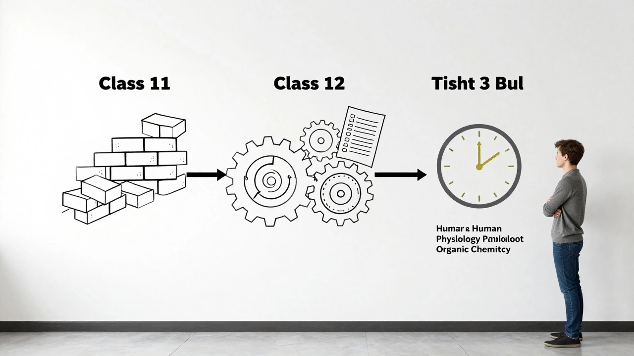 Minimalist timeline mural showing three phases of NEET preparation on a classroom wall.
